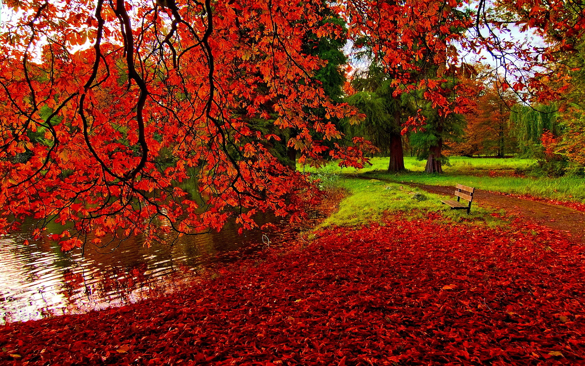 پاییز قرمز 